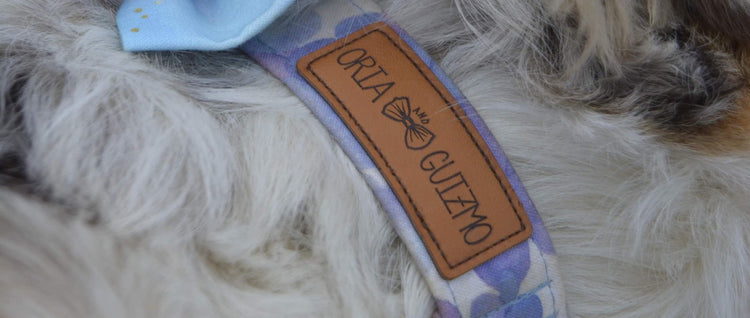 Colliers pour chien