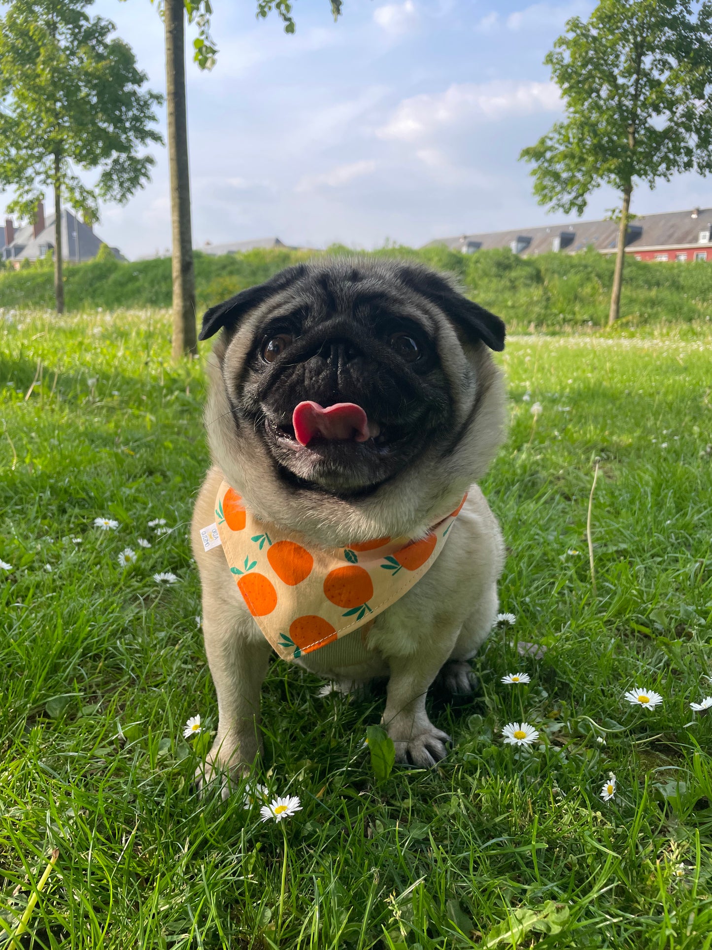 Bandana Mouettes x Oranges