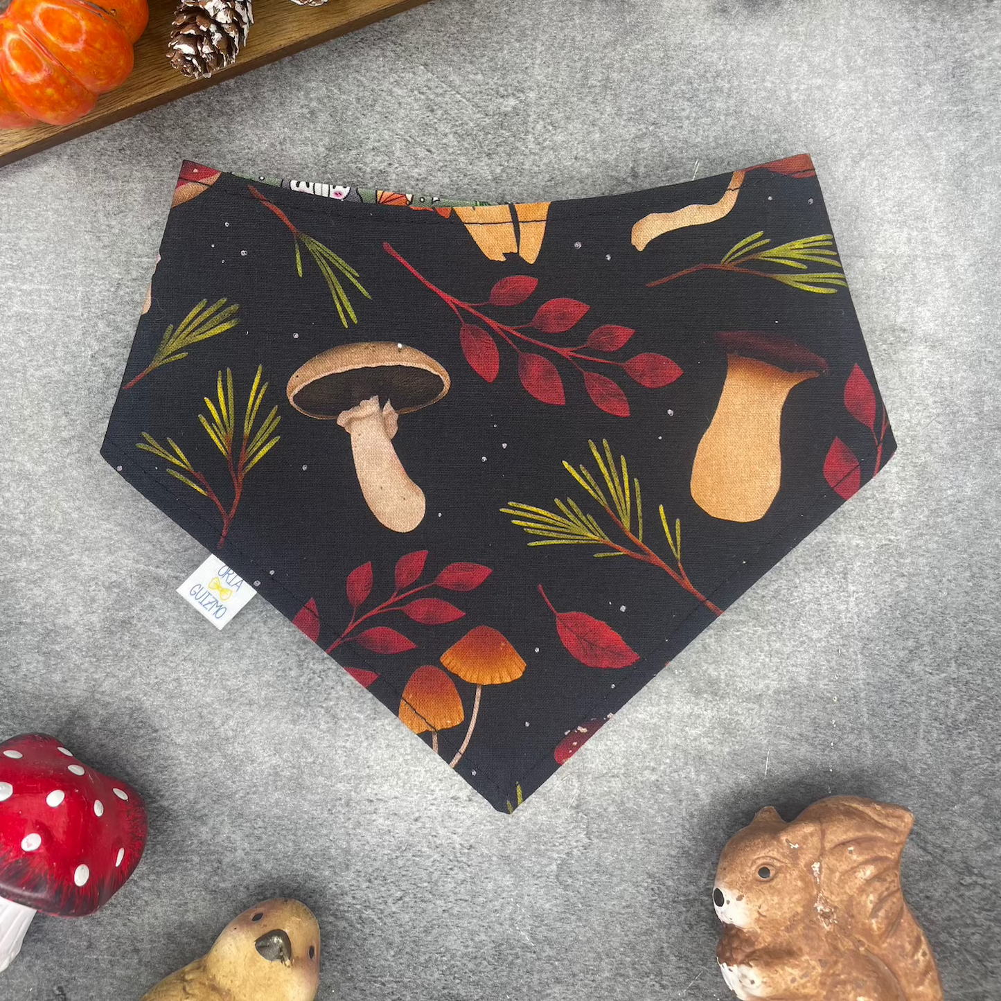 Bandana Schnabel x Champignons