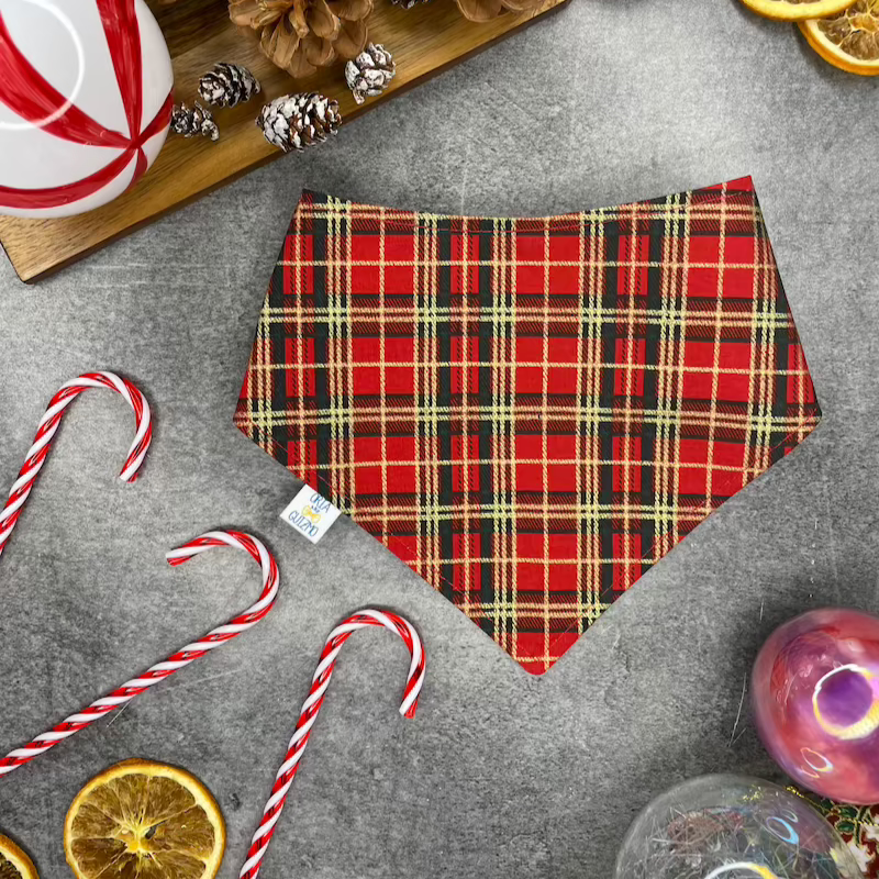 Bandana Hiver x Tartan