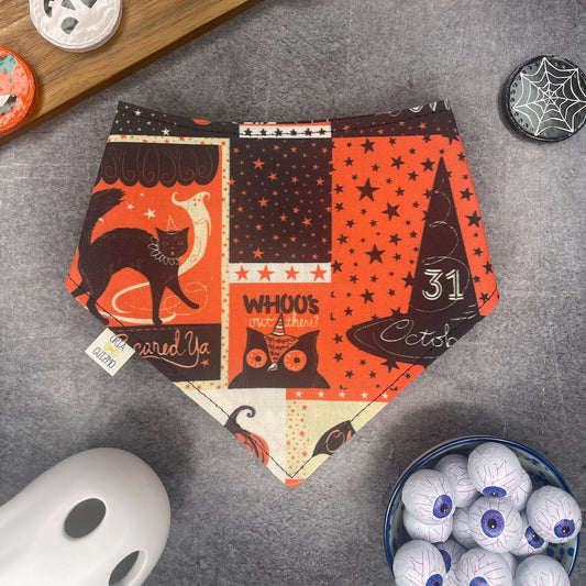 Bandana Salem
