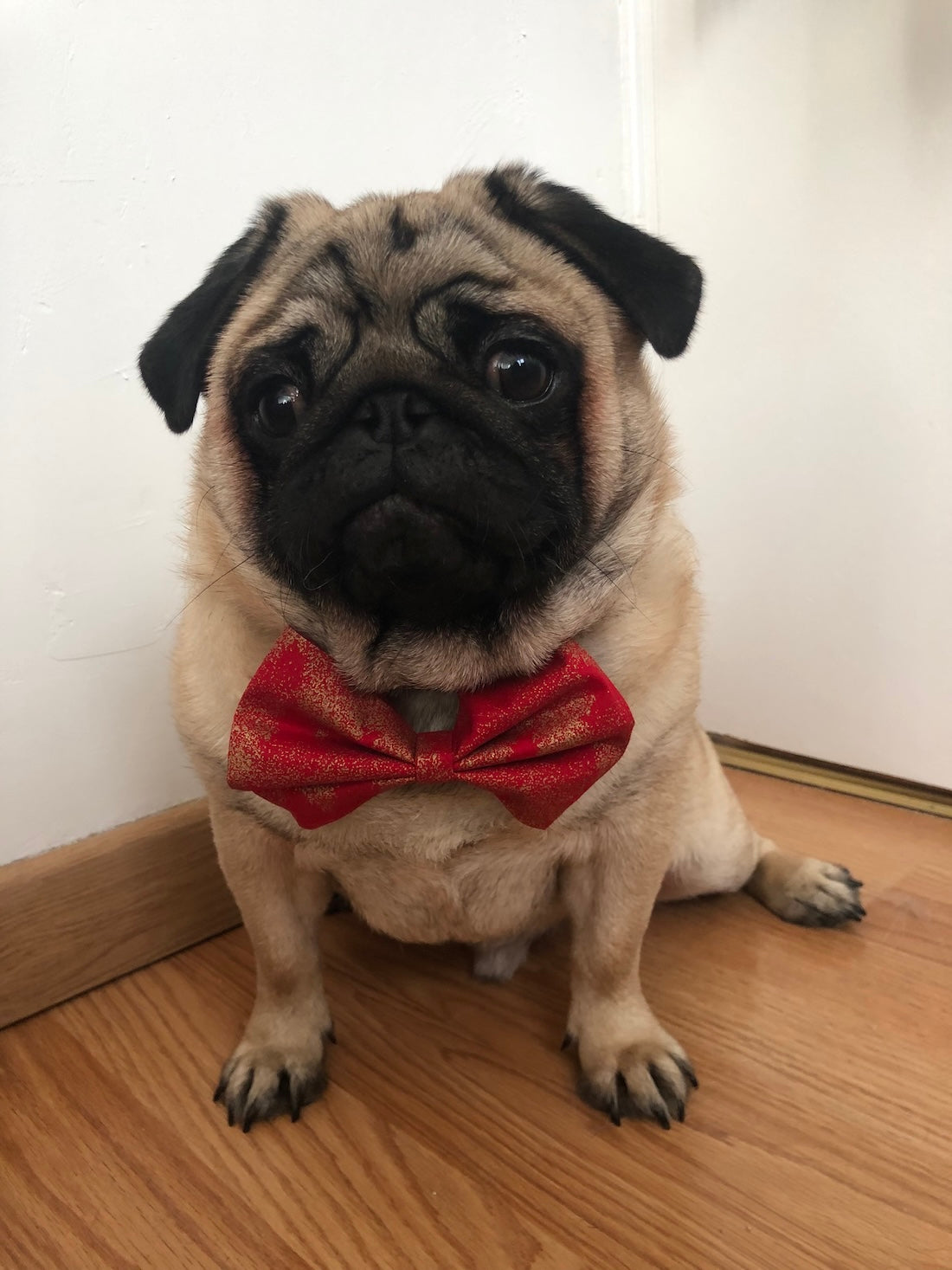 Noeud Sapin doré rouge