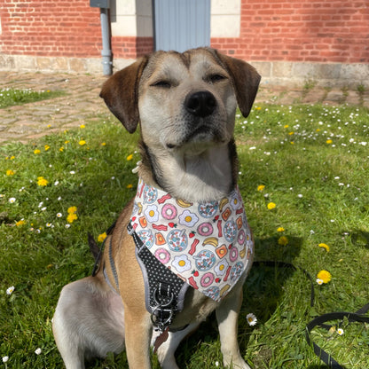 Bandana Croq'Matin