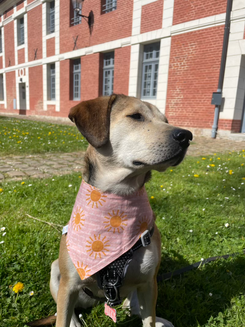 Bandana Soleil