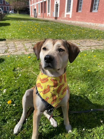 Bandana Soleil