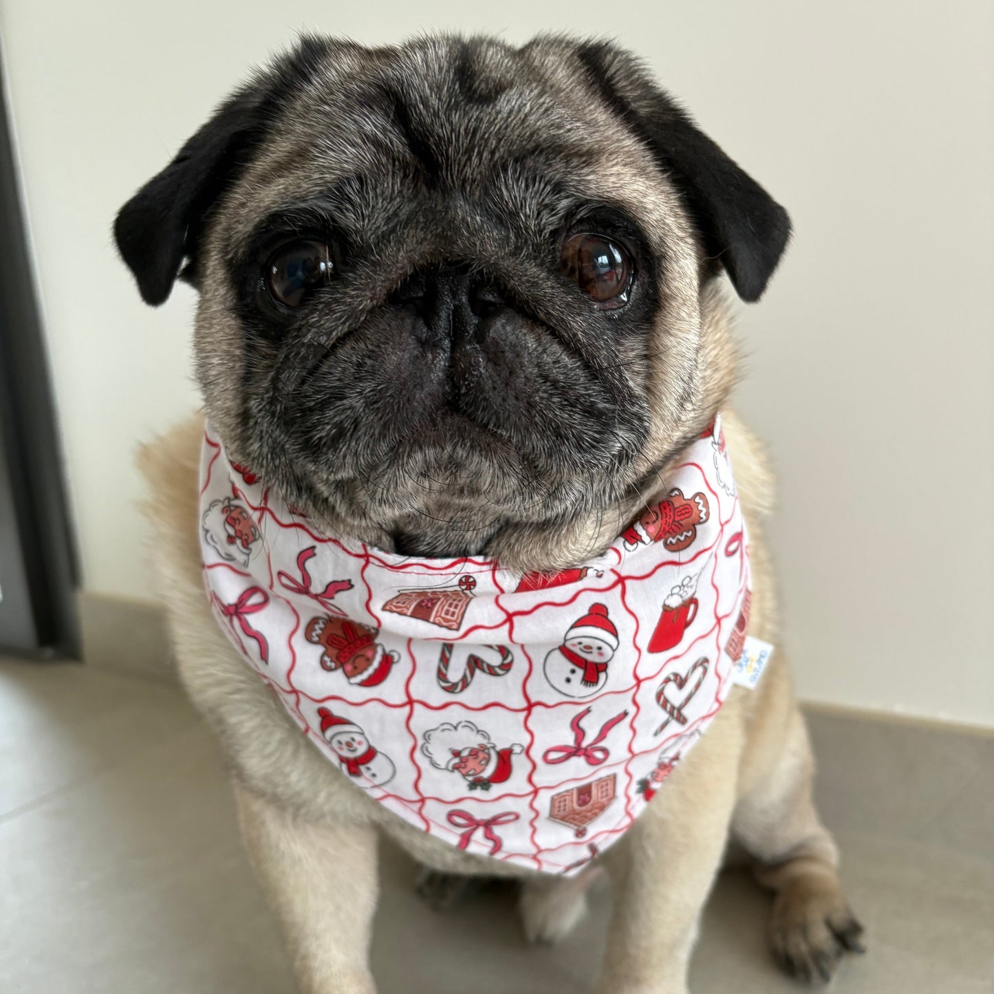 Bandana 25 Décembre