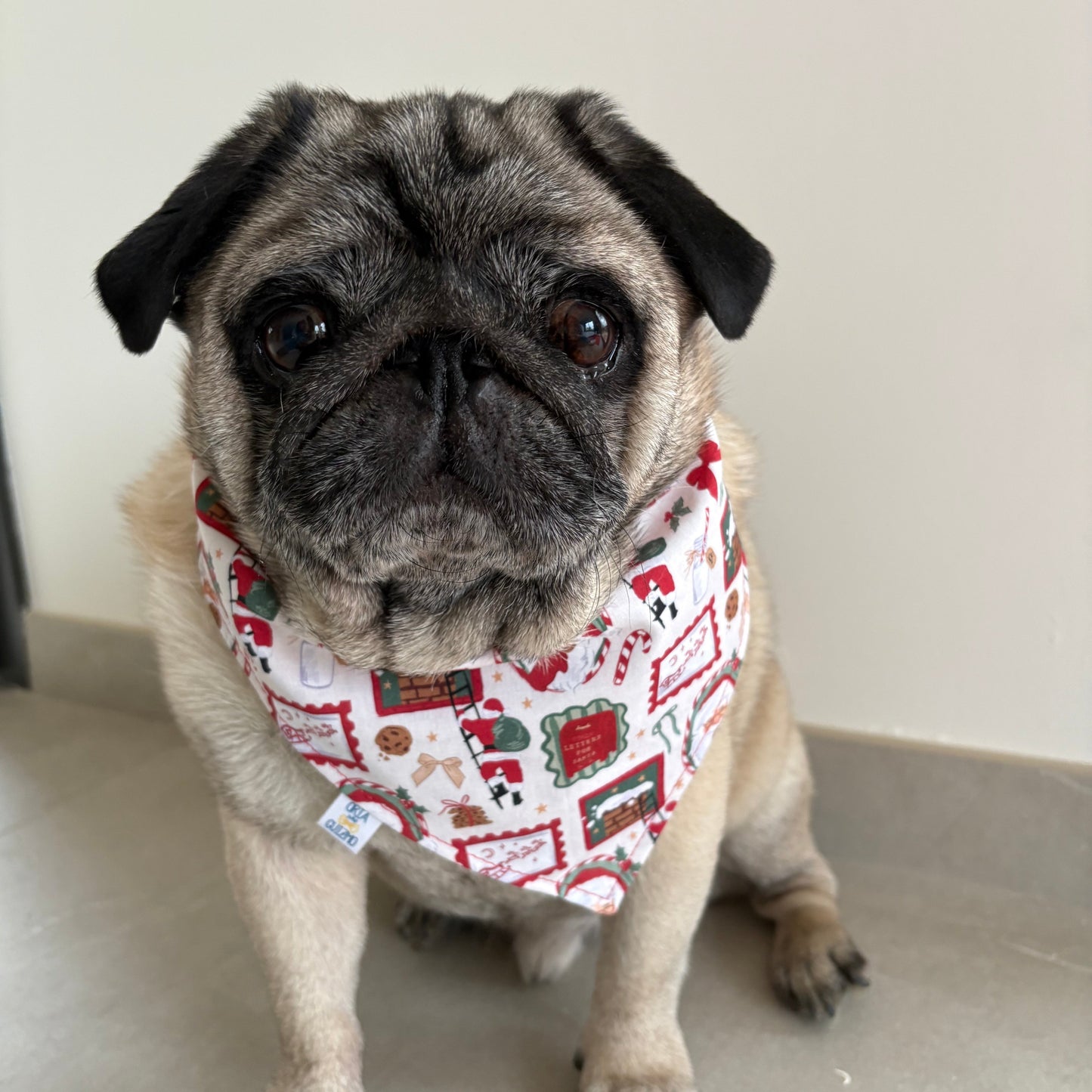 Bandana 25 Décembre