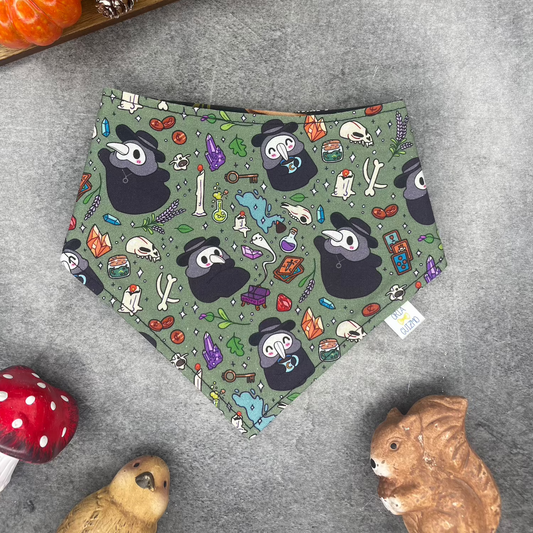 Bandana Schnabel x Champignons
