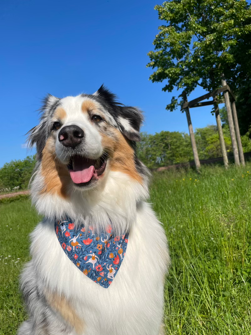 Bandana 70'S