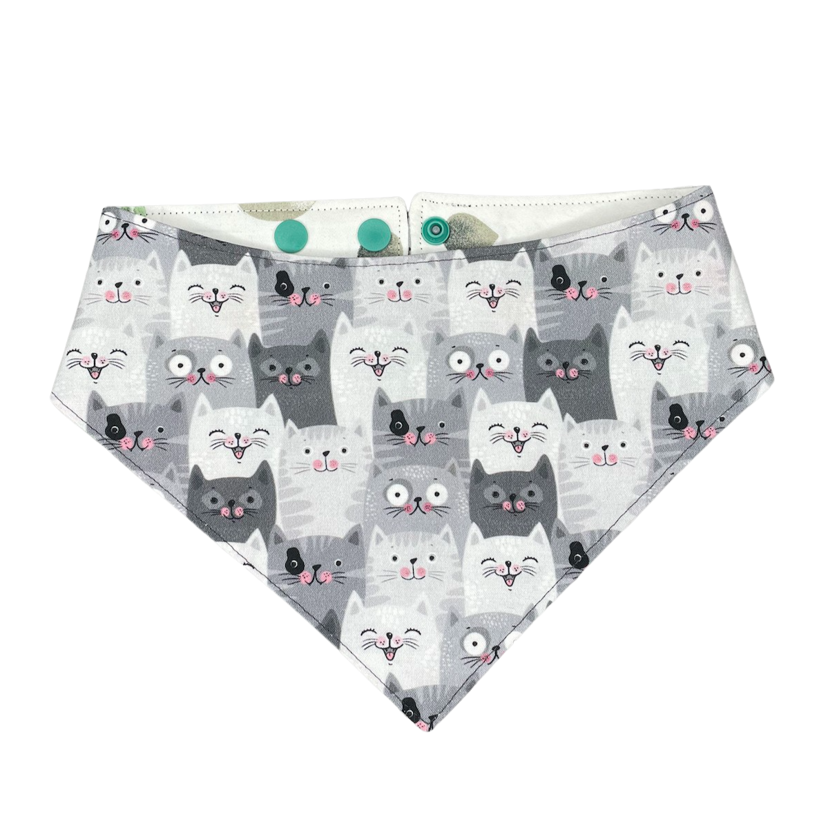 Bandana Cactus x Cat