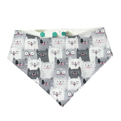Bandana Cactus x Cat