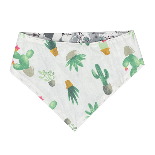 Bandana Cactus x Cat