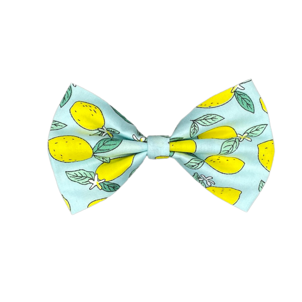 Noeud Lemon