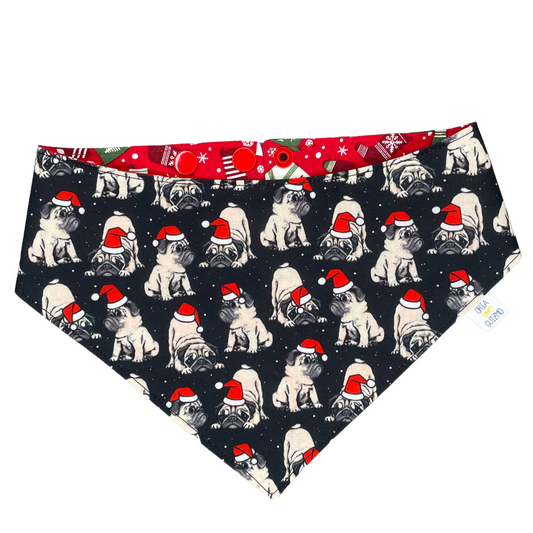 Bandana Guizmo