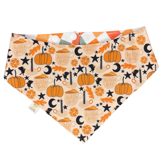 Bandana Stars Hollow