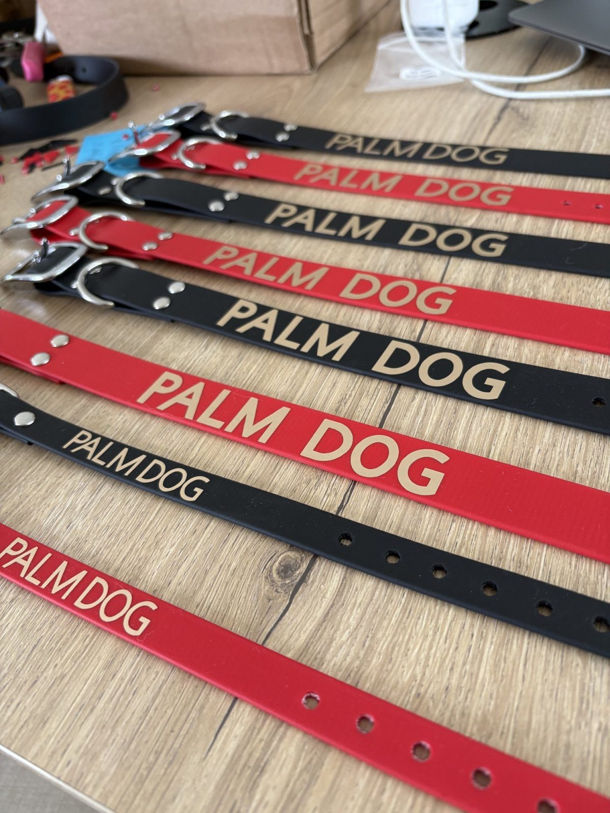 Colliers rouges et noirs marqués « Palm Dog », alignés sur l’établi de l’atelier