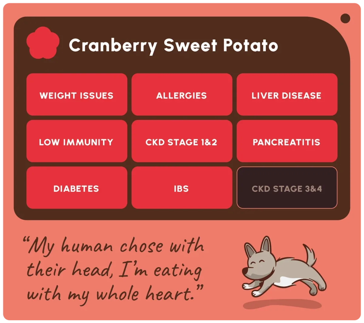 Friandises cranberries et patate douce pour chien