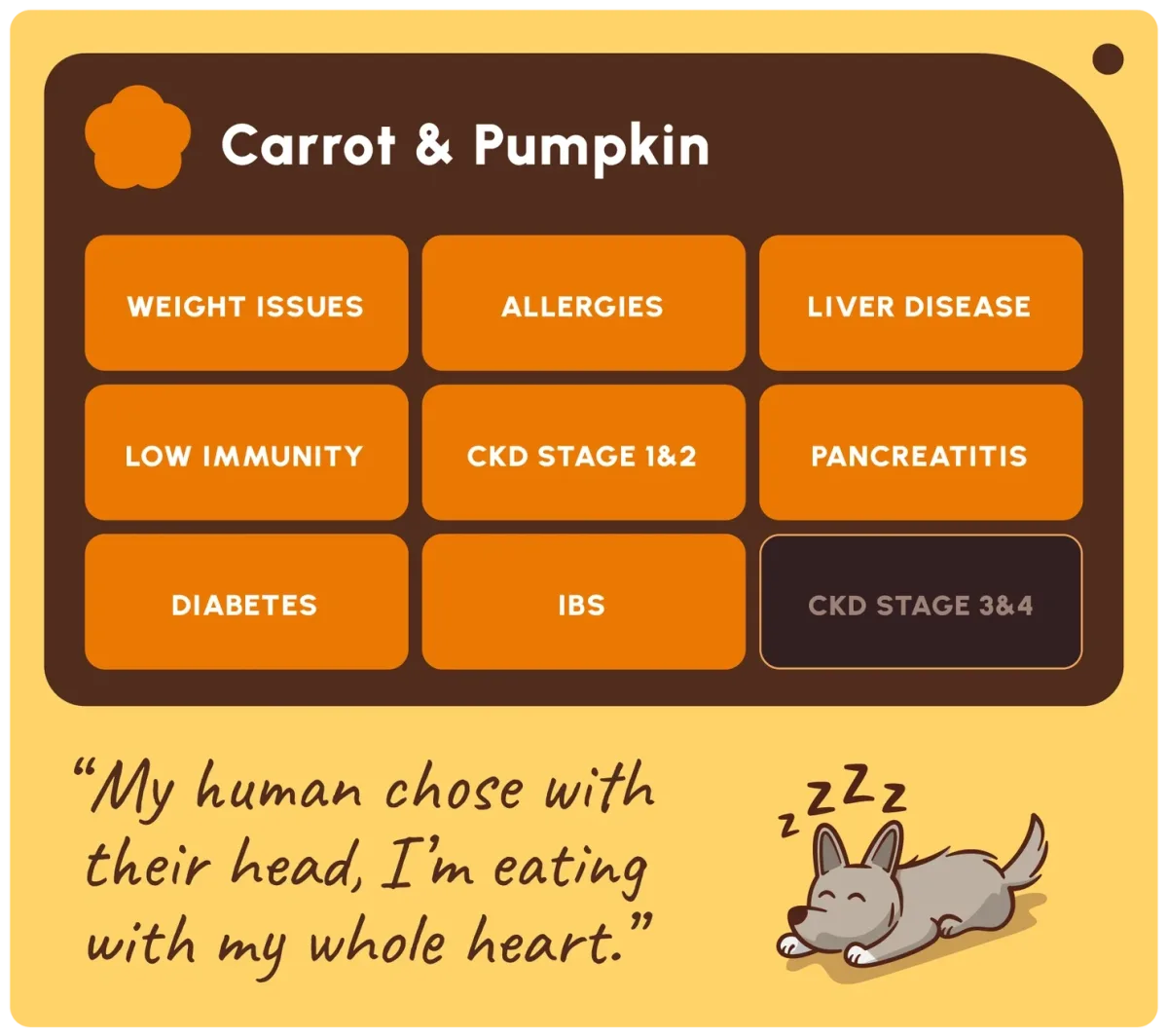 Friandises carotte et citrouille pour chien