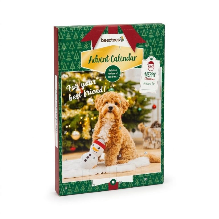 Calendrier de l’avent pour chien