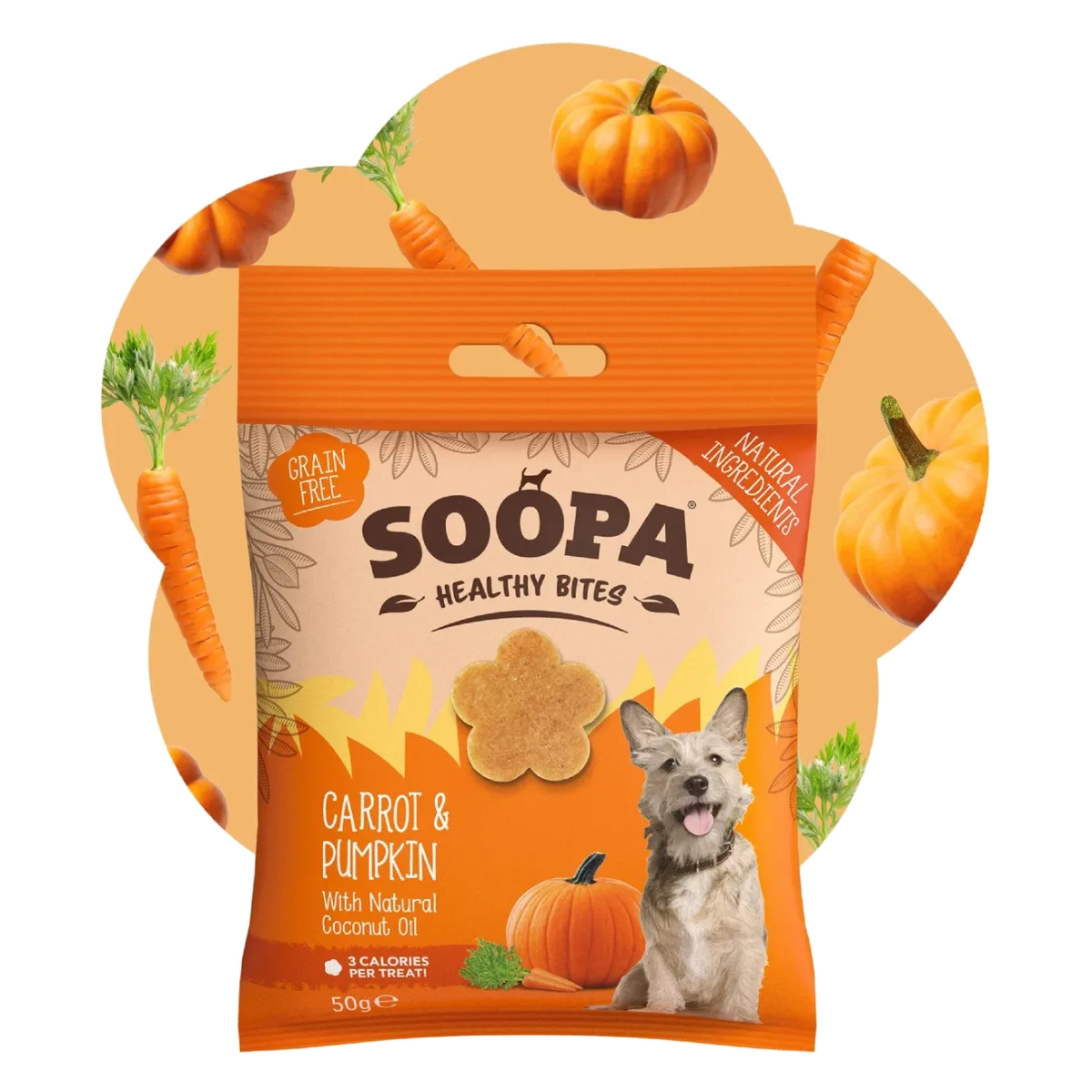 Friandises carotte et citrouille pour chien