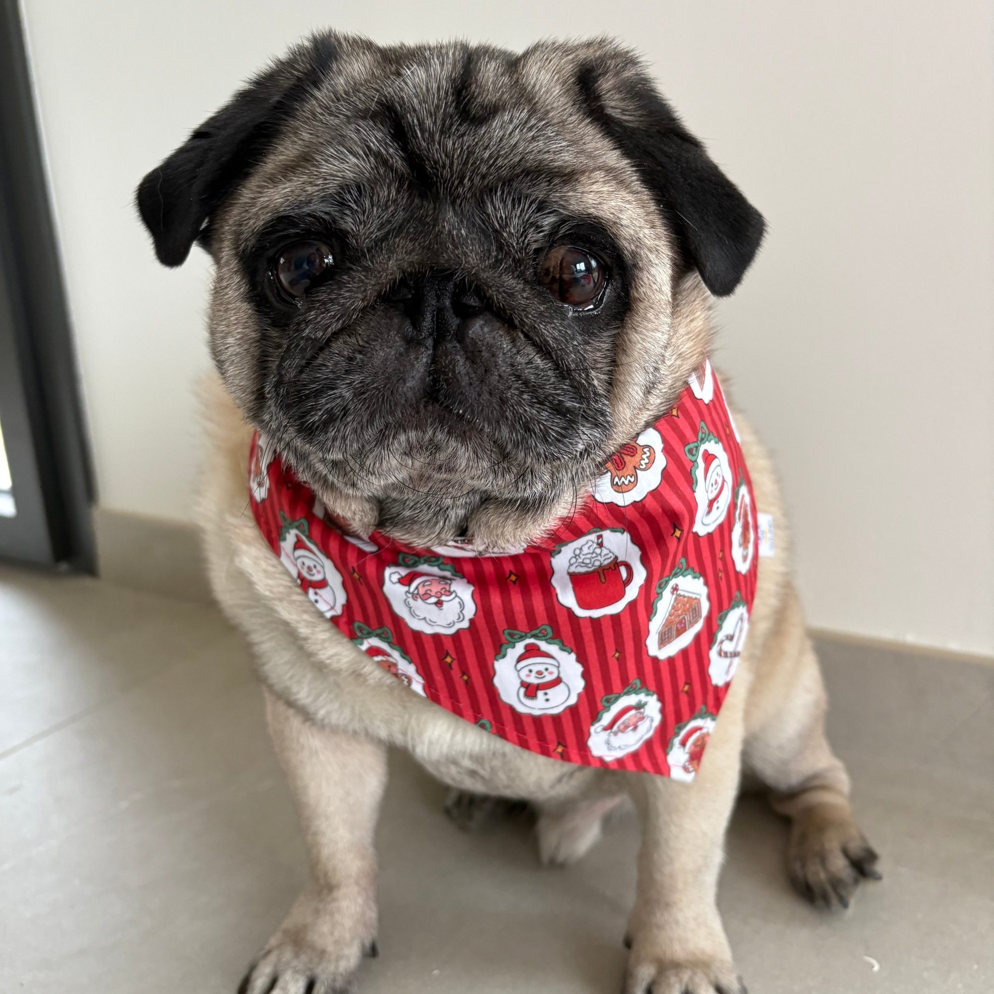 Bandana Dear Santa Noël réversible pour chien
