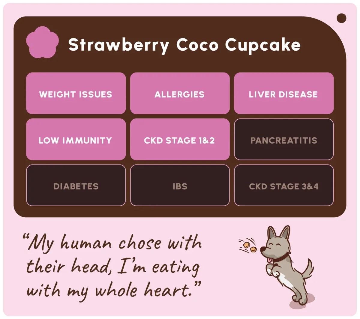 Friandises cupcake fraise coco pour chien