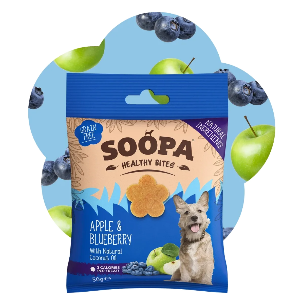 Friandises pomme et myrtille pour chien