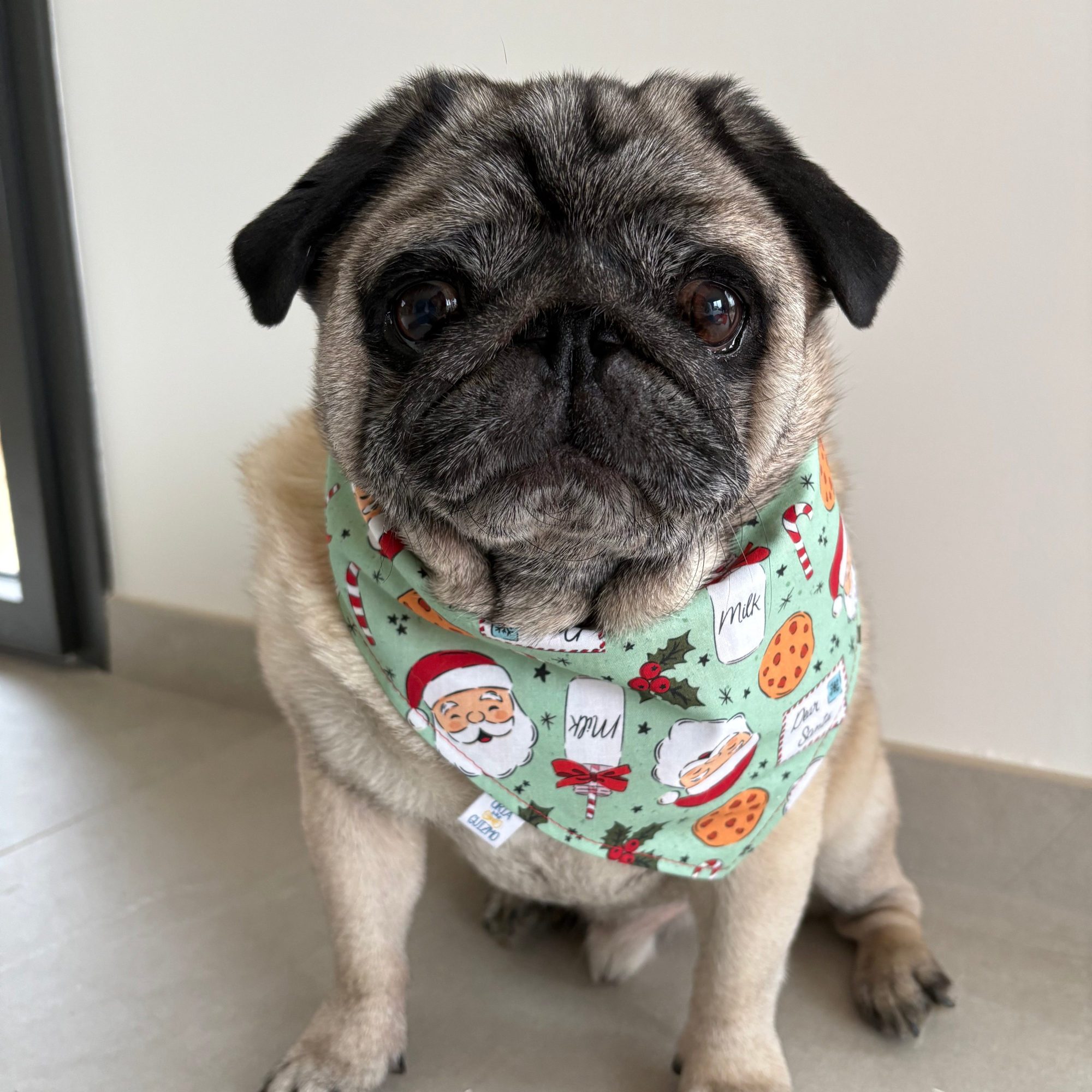 Bandana Dear Santa Noël réversible pour chien