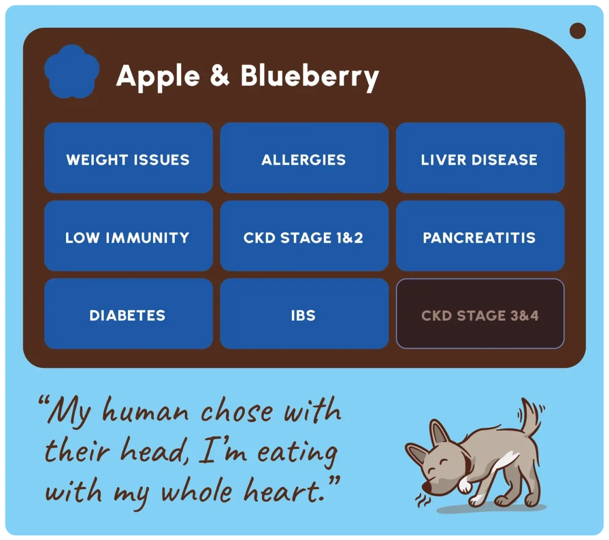 Friandises pomme et myrtille pour chien