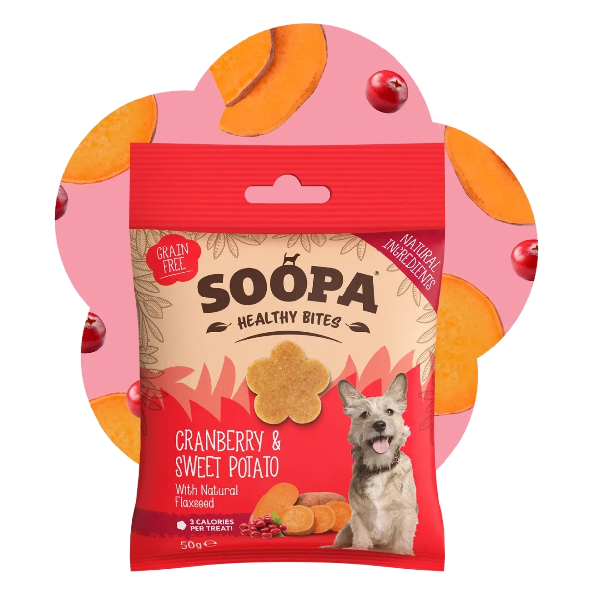 Friandises cranberries et patate douce pour chien